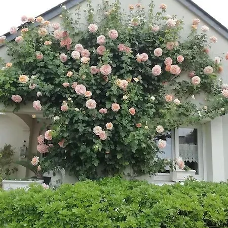 La Desirade Holiday home Le Coudray-Macouard