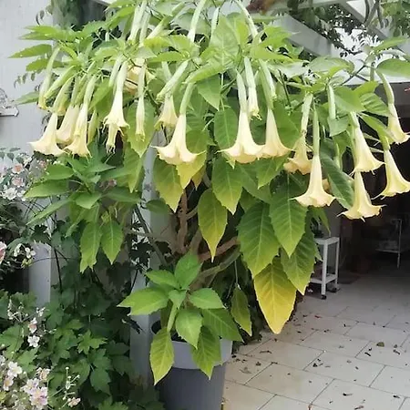 La Desirade Holiday home